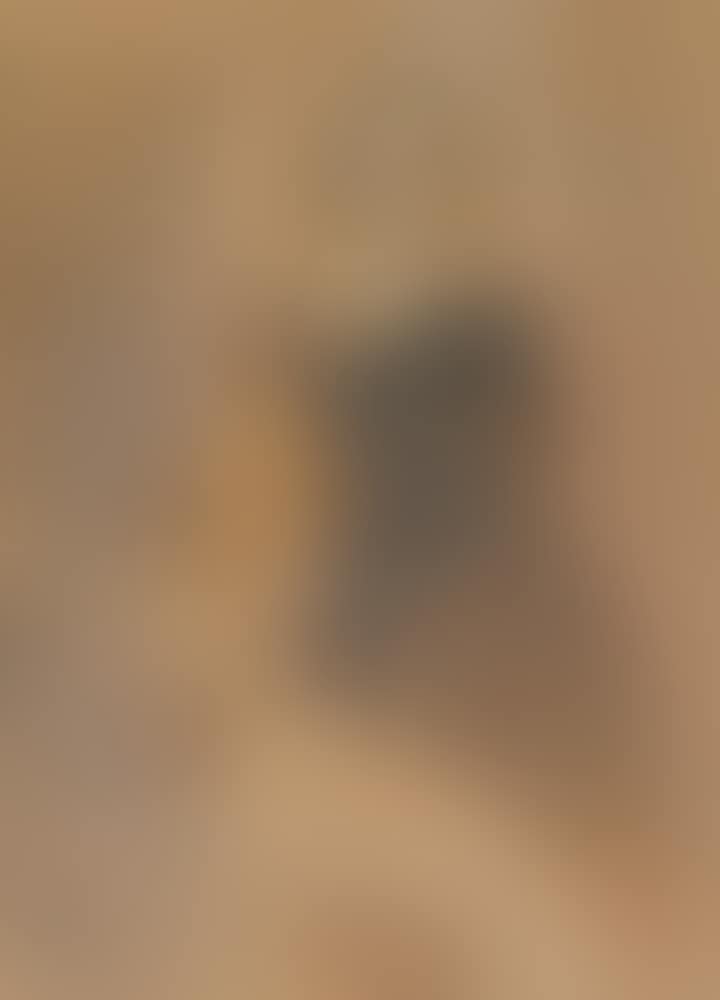 Portrait of lady with greyhound (preview)