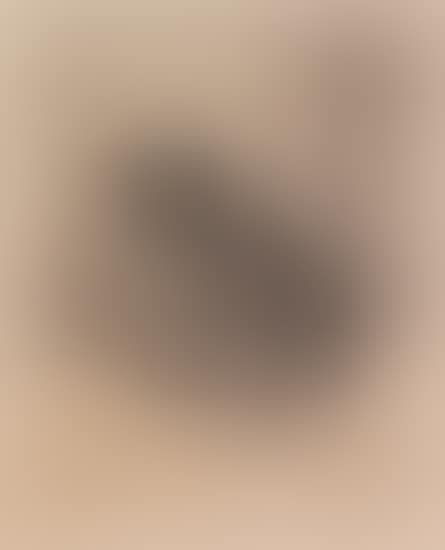 Chat assis (preview)
