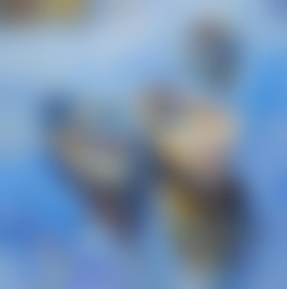 Blue reflection IV (preview)