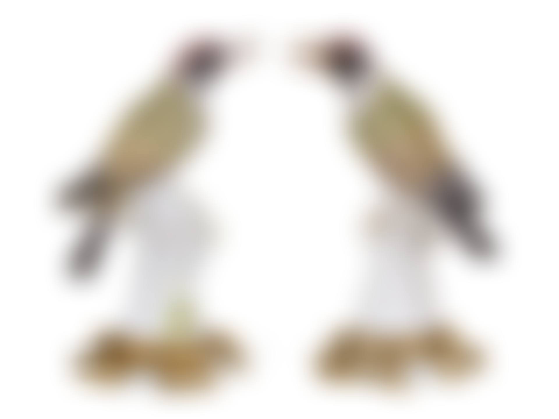 A PAIR OF ORMOLU-MOUNTED MEISSEN PORCELAIN MODELS OF GREEN WOODPECKERS (preview)