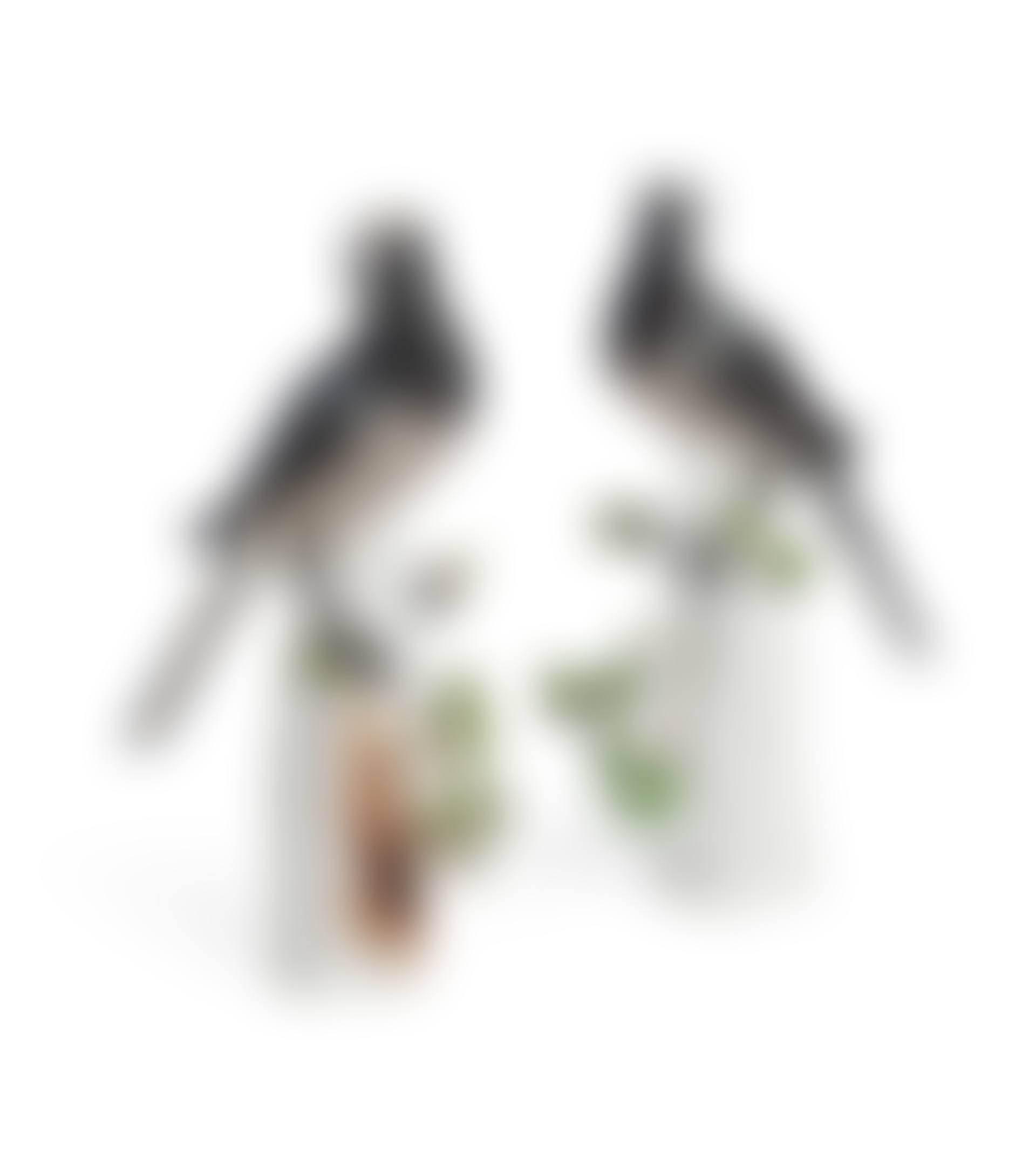 A PAIR OF MEISSEN PORCELAIN MODELS OF PIED WAGTAILS (preview)