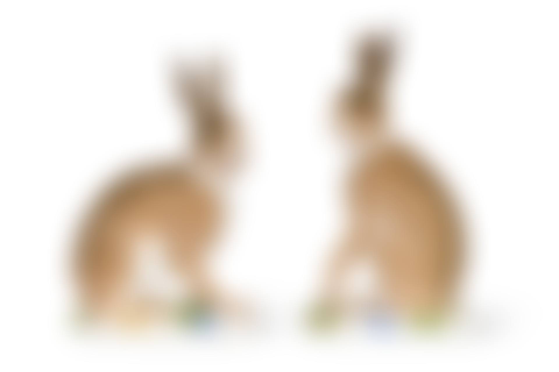 A PAIR OF MEISSEN PORCELAIN MODELS OF SEATED HARES (preview)