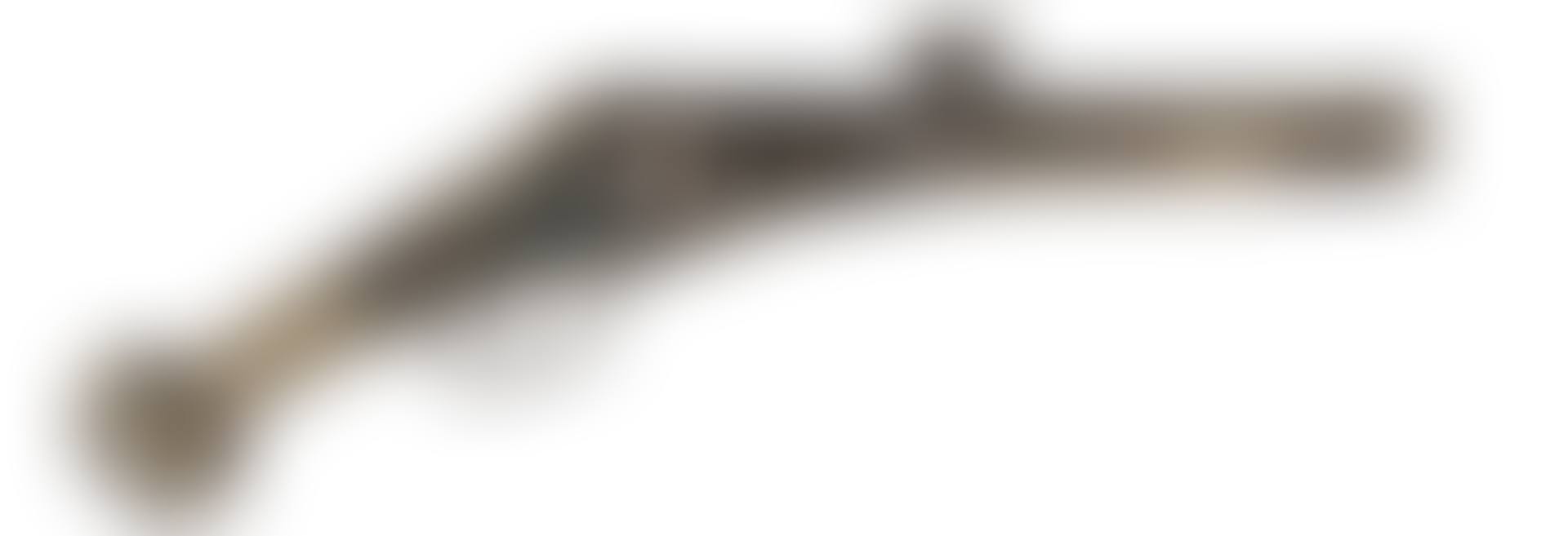 A GERMAN WHEEL-LOCK PUFFER (preview)