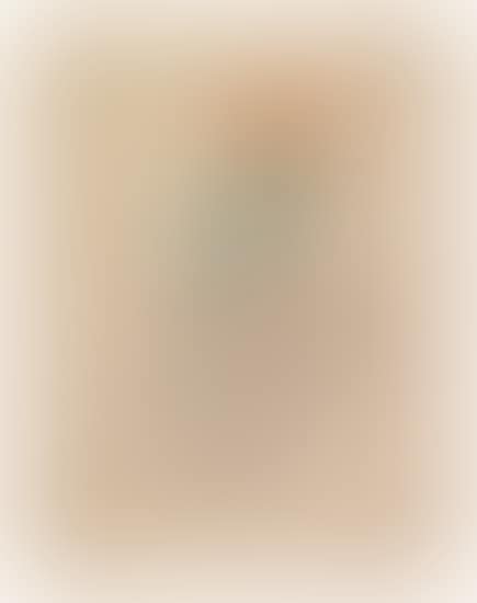 Nature Morte avec Fleur (preview)