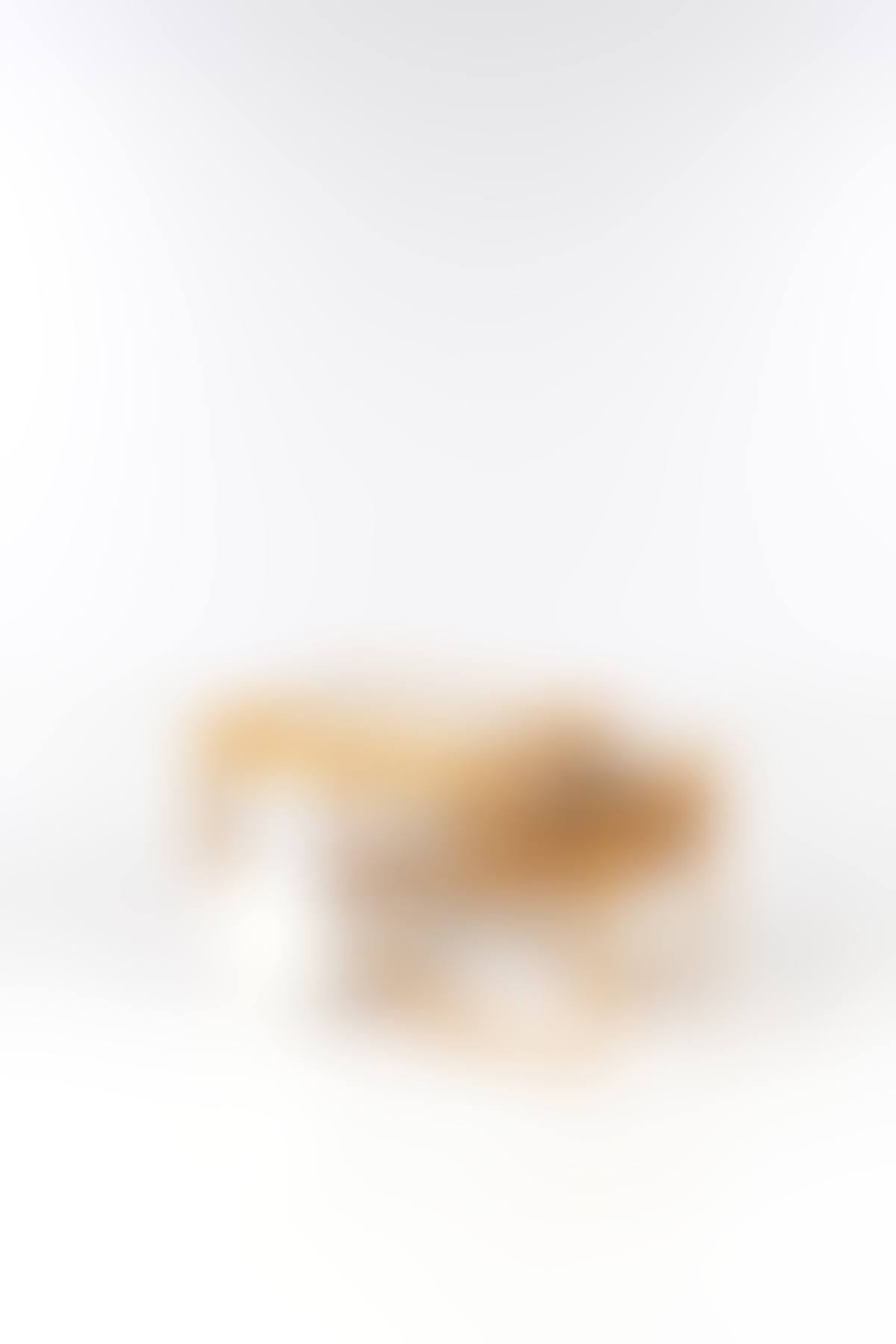 Drinks trolley - Model no. 901 (preview)
