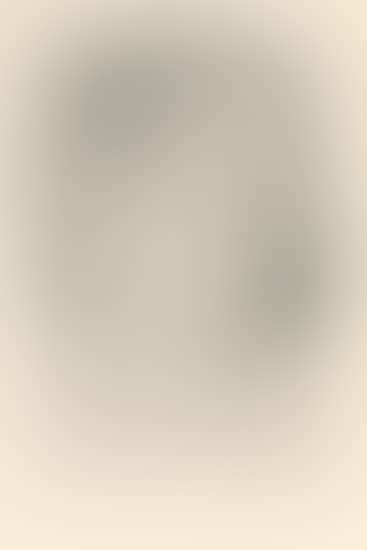 Mlle. M.M. (Duthuit Books 2) (preview)