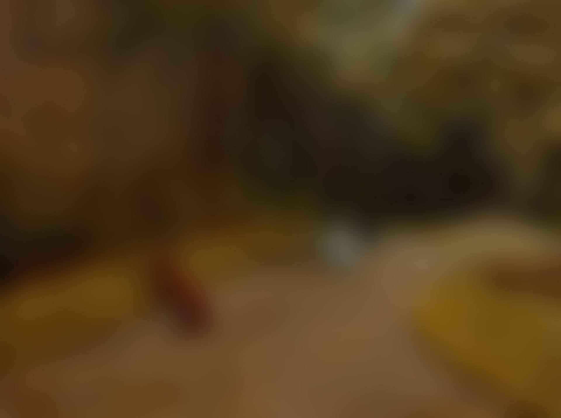 Park Scene (preview)