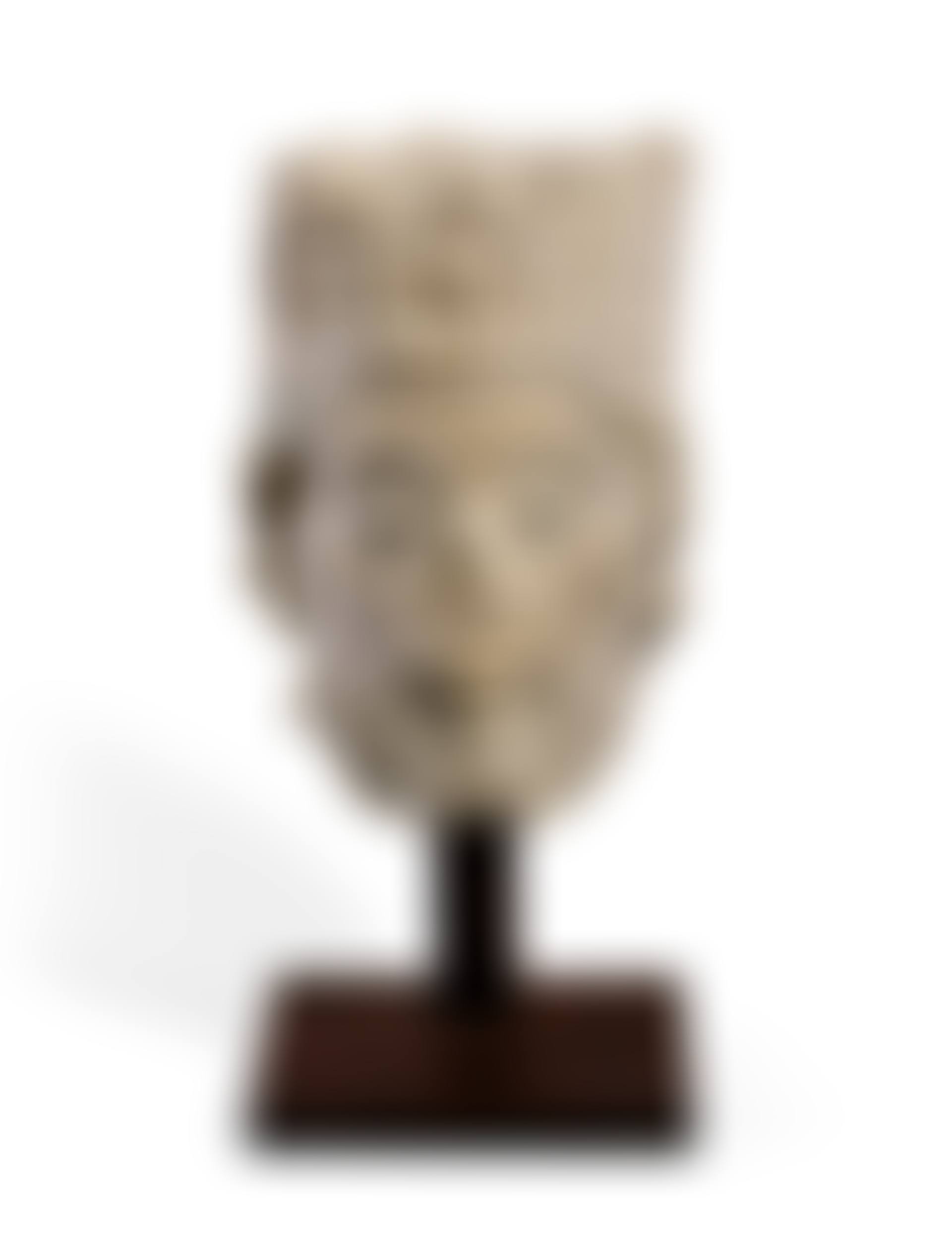 Head of a magus or king (preview)