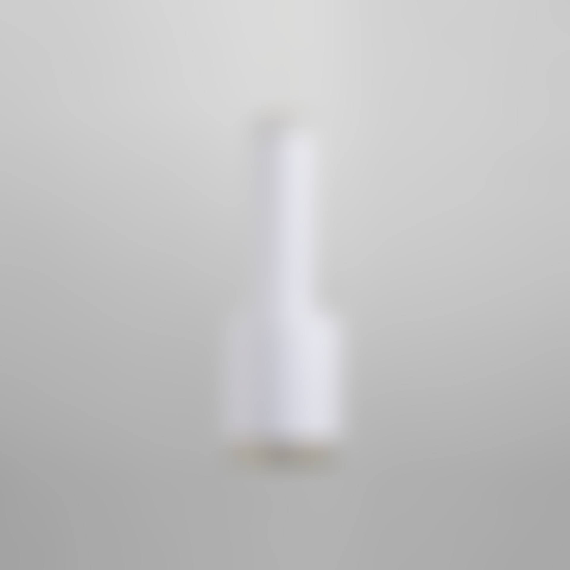 Pendant lamp, model A110 (preview)
