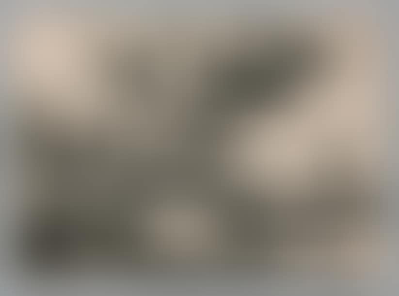 The Designer (preview)