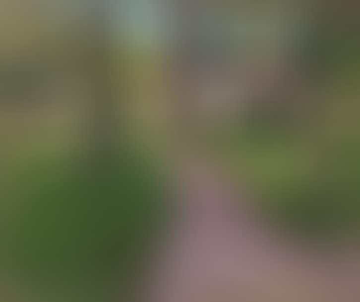 Yerres, undergrowth path in the park (preview)