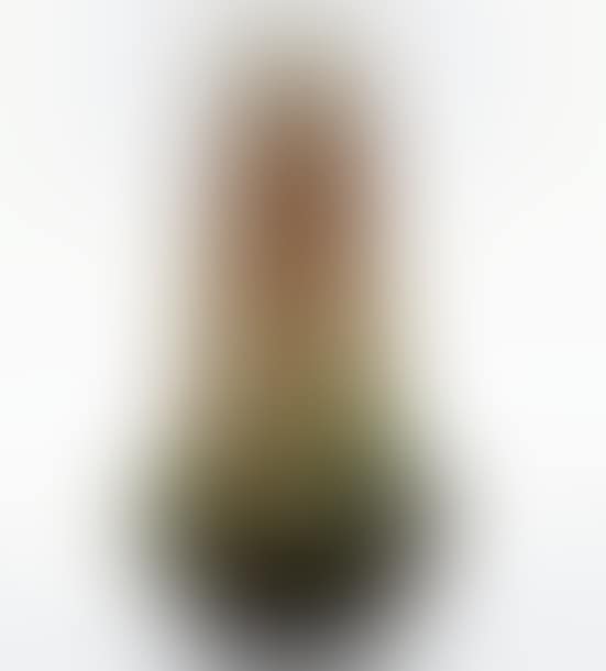 Vase with a swollen base (preview)