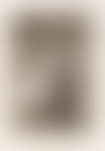 Tal papra Cual (preview)