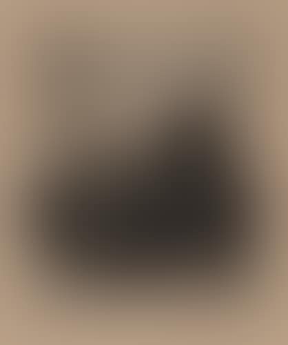 Portrait of Thomas Carlyle (preview)