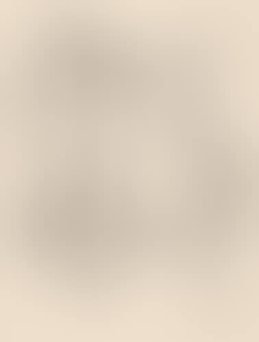 Two Female Nudes (preview)