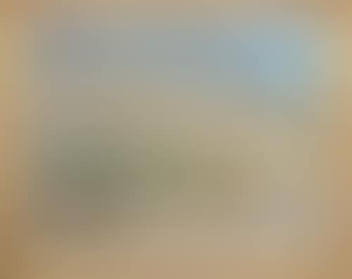 Bird Flying down to the Riverbank (preview)