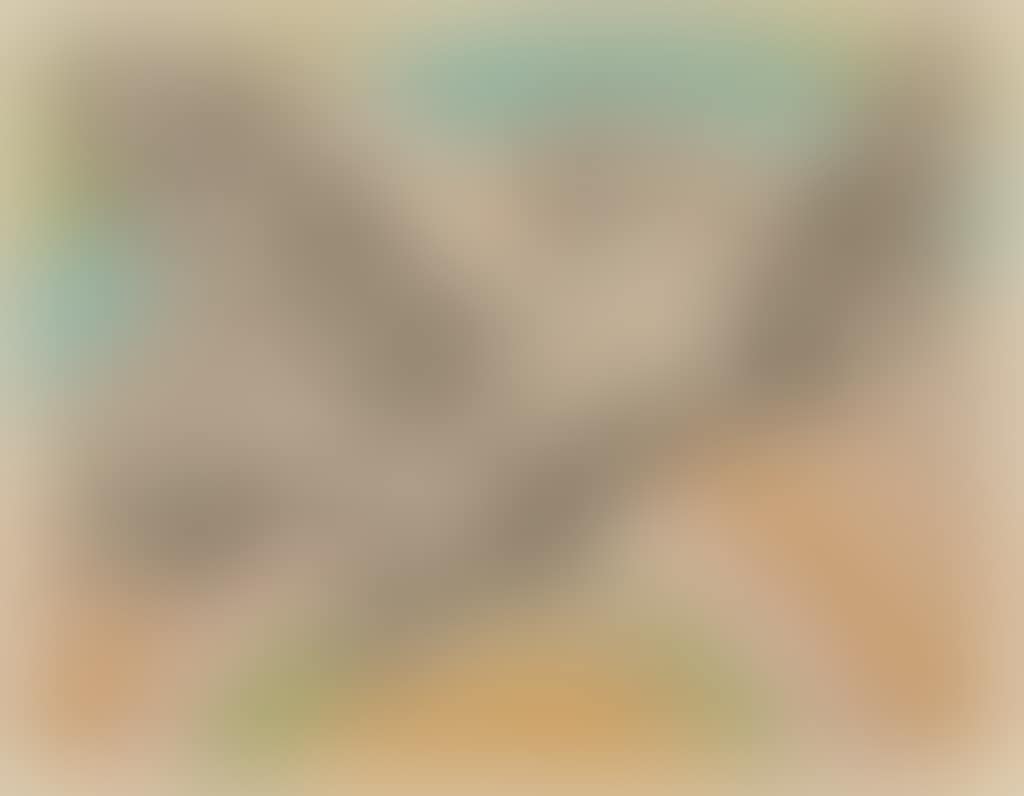 Untitled (Dove (preview)