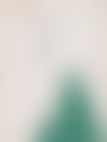 Taureau (preview)