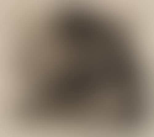 Frau mit totem Kind (preview)