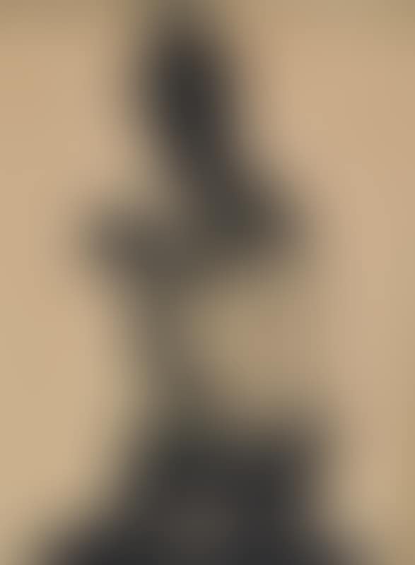 Cardinal (preview)