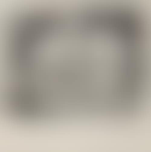 Pigeonneau (preview)