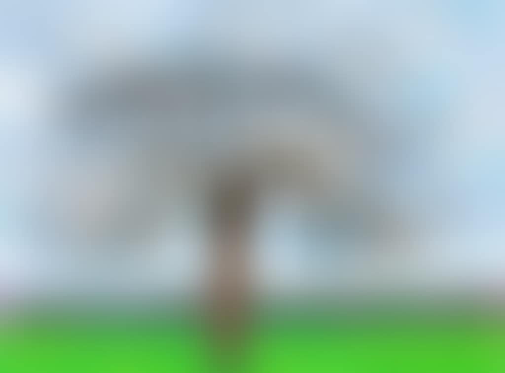 220 for 2020, 3rd of March, 2020, No3 (preview)