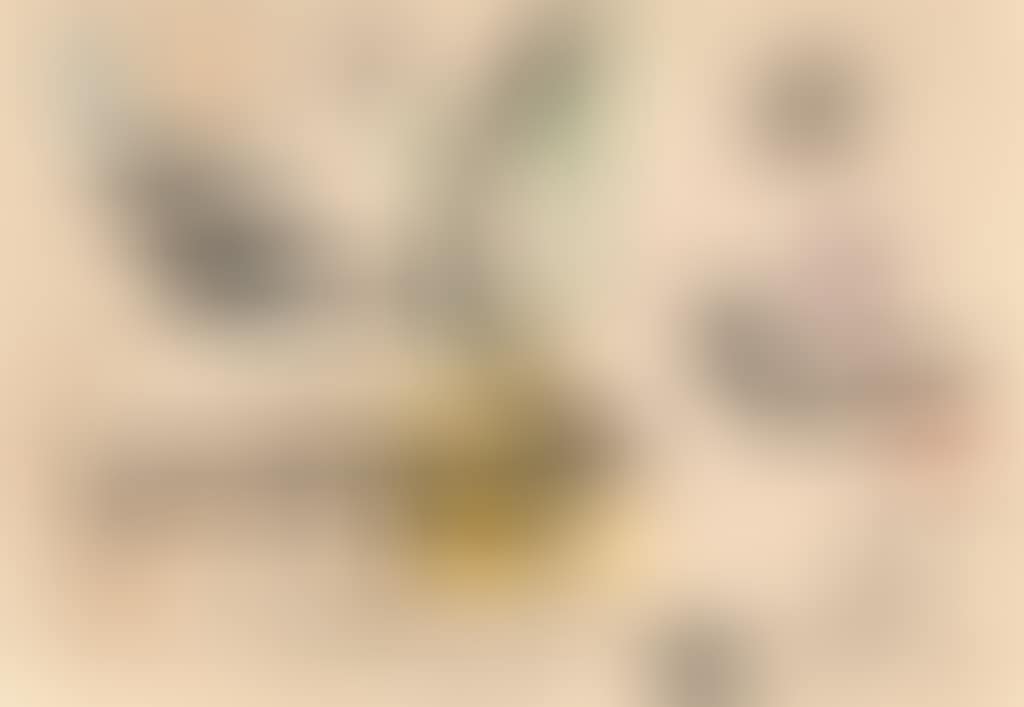 Untitled (preview)