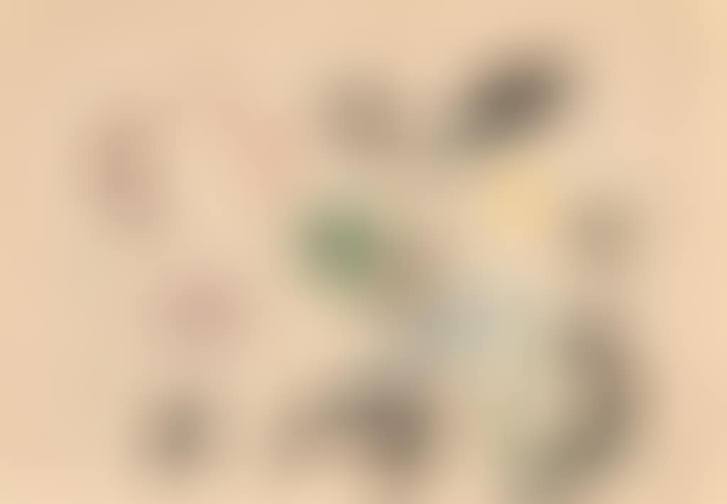 Untitled (preview)