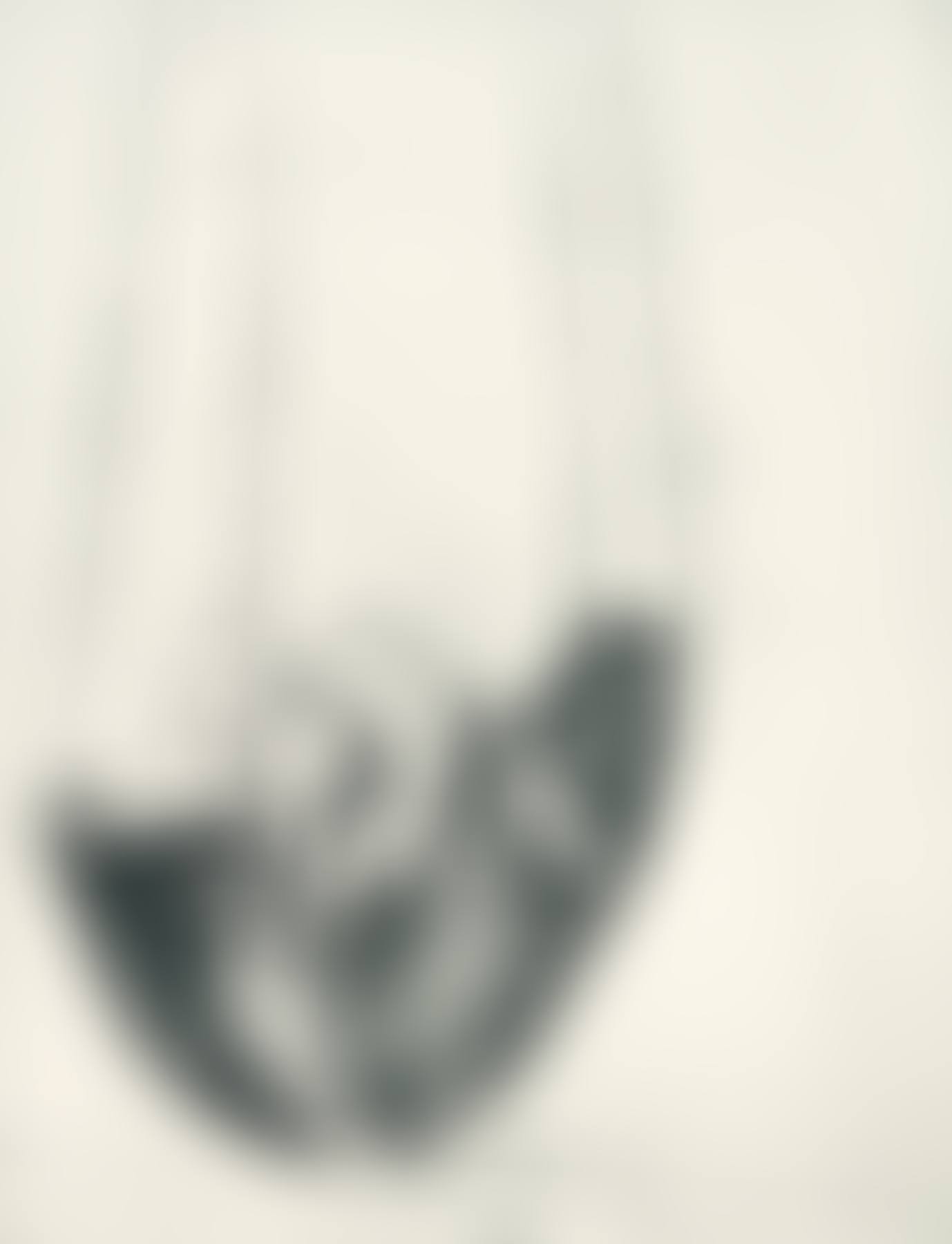 Suspension (preview)