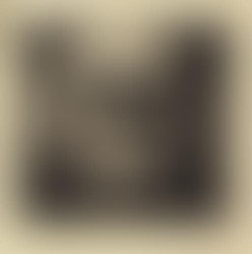 Selbstbildnis von vorn (preview)