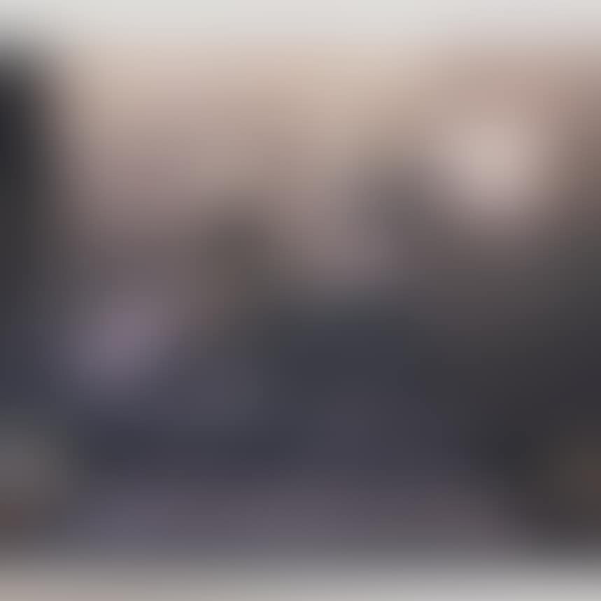 The walled off Hotel Palestina (preview)