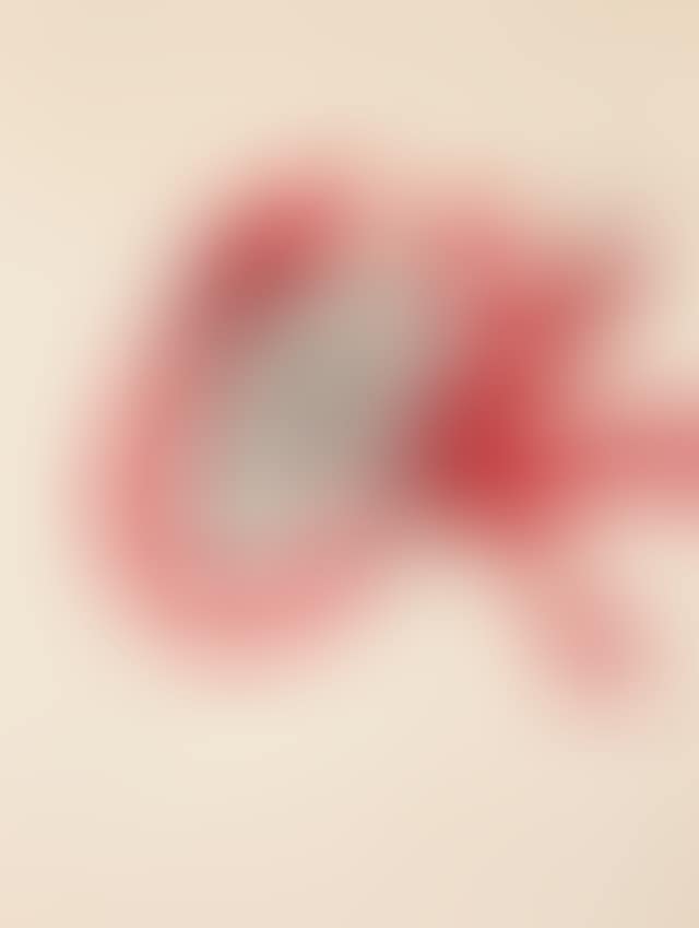 Study for the poster "Campanha d"Educació pels Drets Humans" (preview)