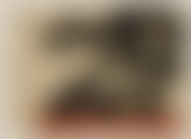 Barcelona (preview)
