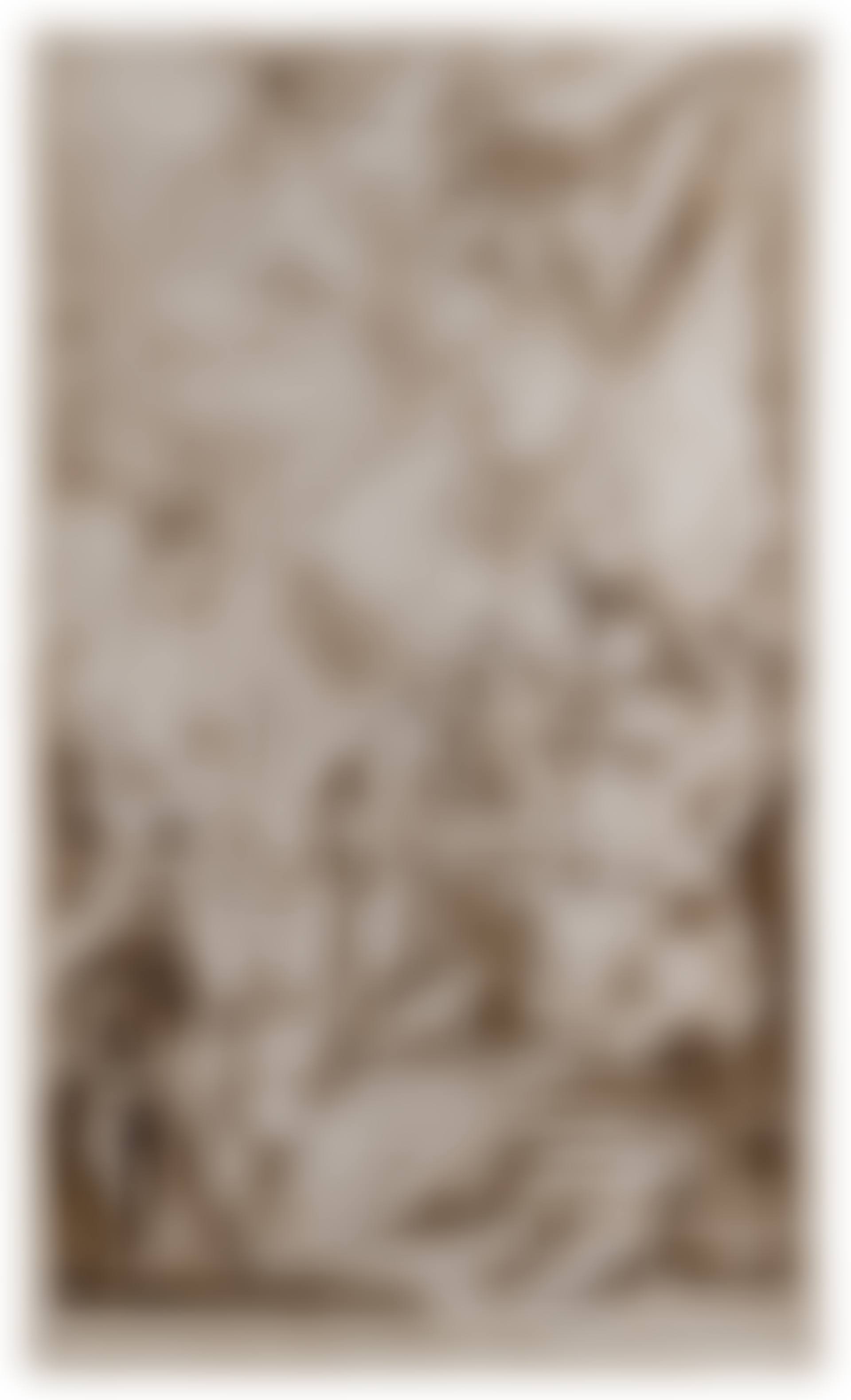 The Baptism of Constantine (preview)
