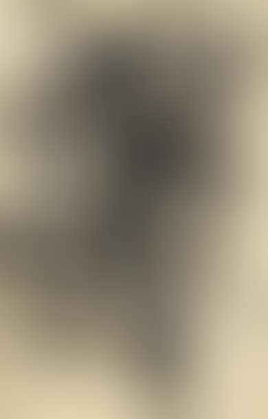 Composition (preview)