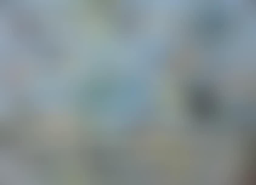 Birds from all continents (preview)