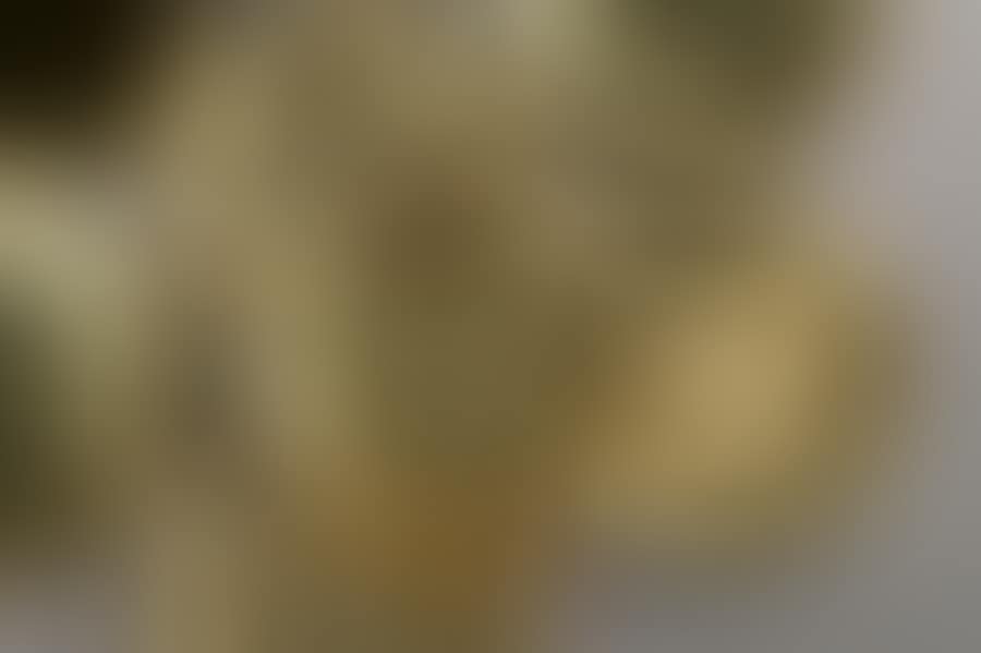 Twelve silver-gilt plates (preview)