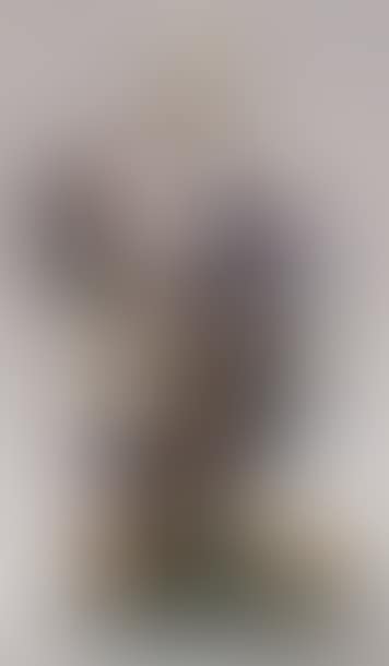 Warrior (preview)