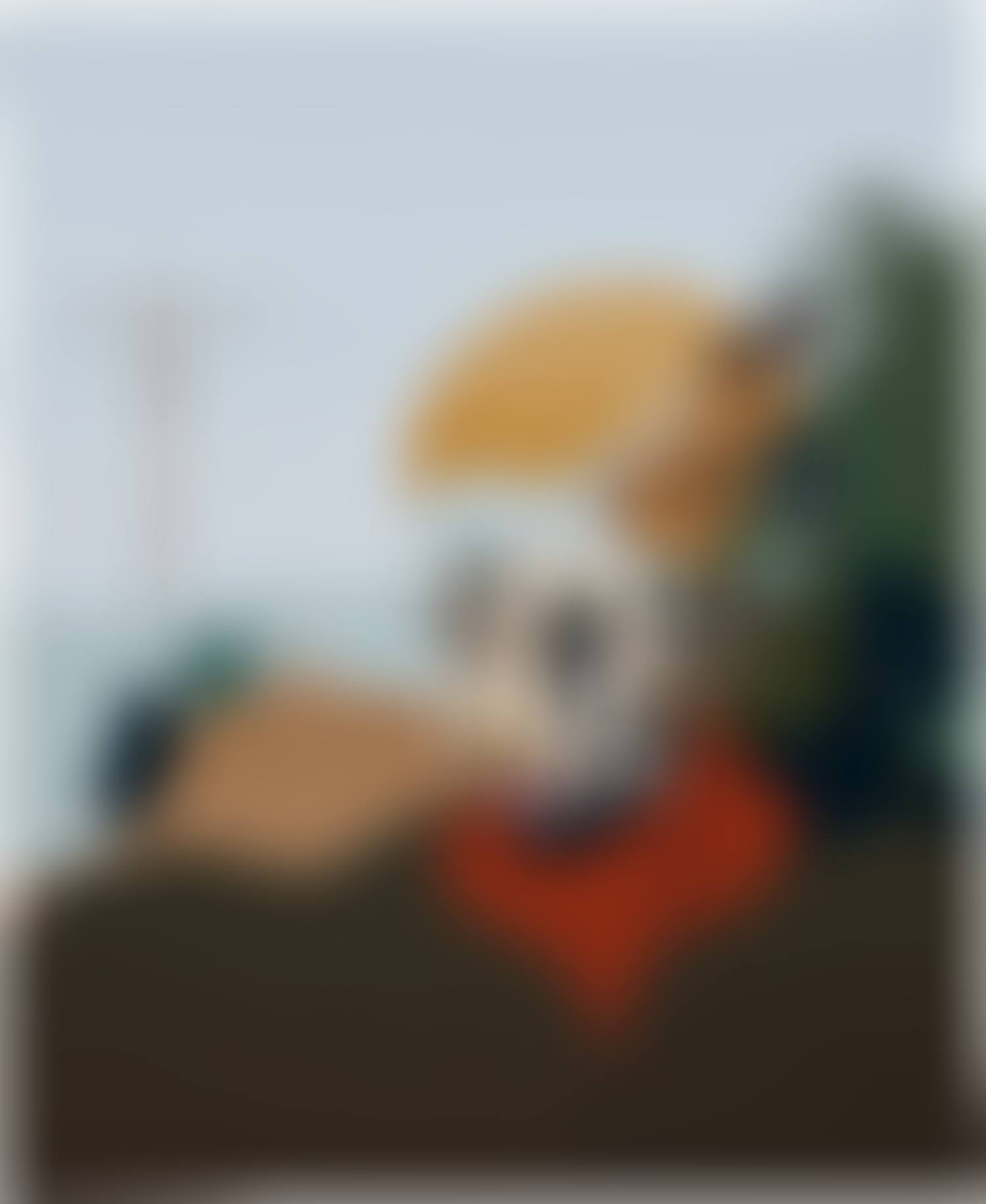 079 (preview)