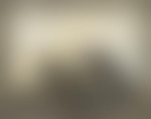 United States Airship Akron. (preview)