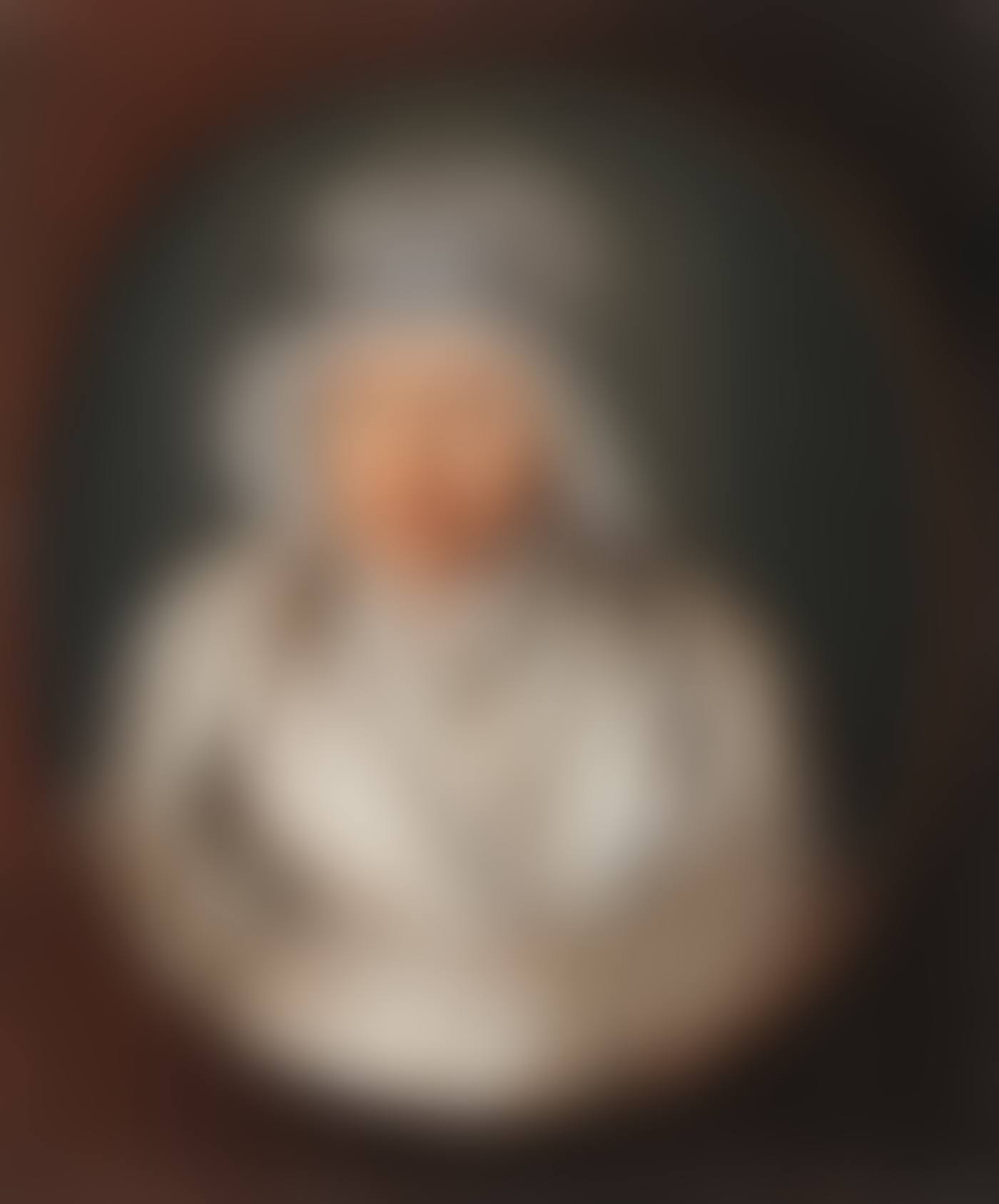 Portrait of an Old Woman in a White Bonnet and Embroidered Shawl in a Feigned Oval (preview)