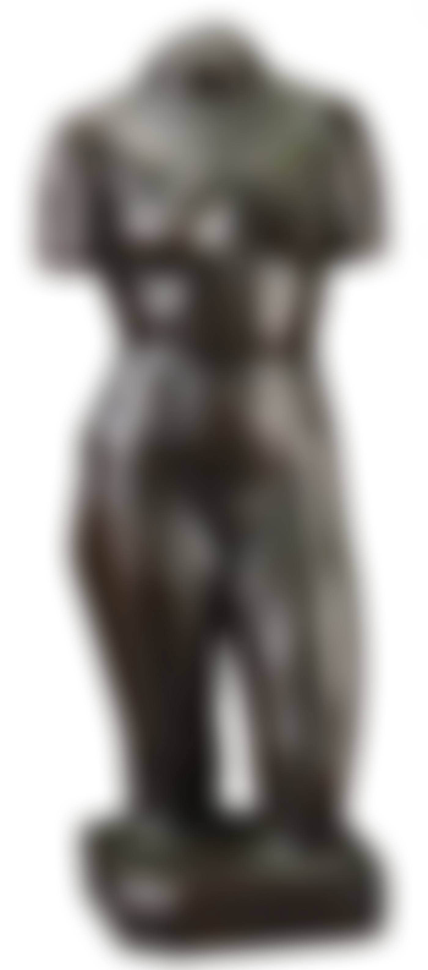 Torso (preview)