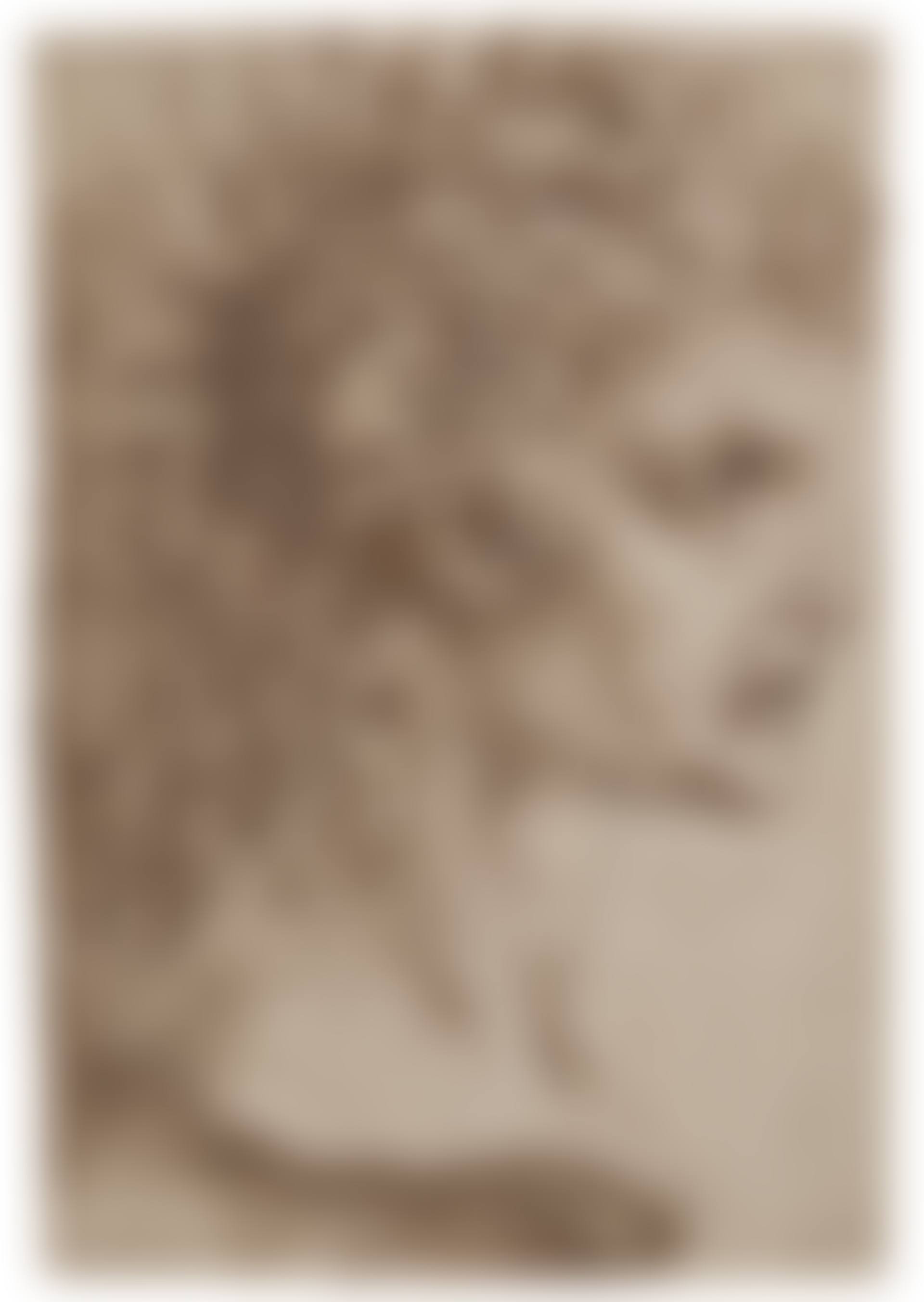 Study of a sculpted head (preview)