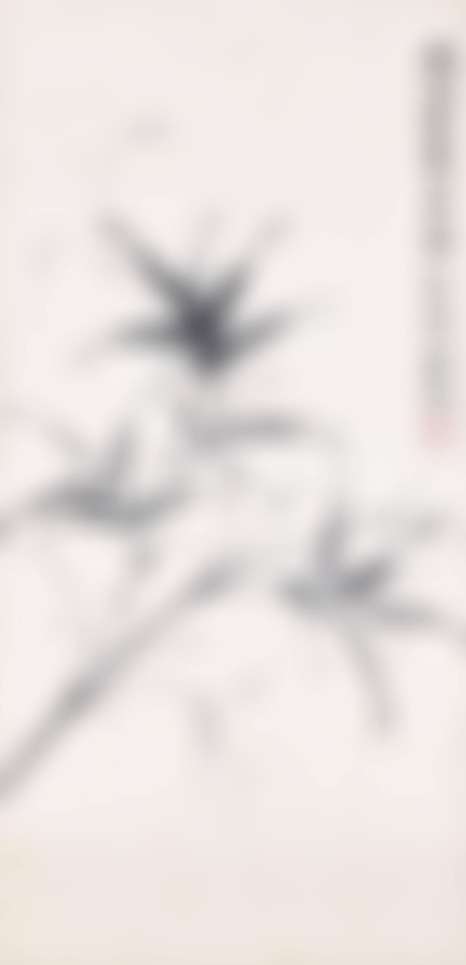 Bamboo (preview)
