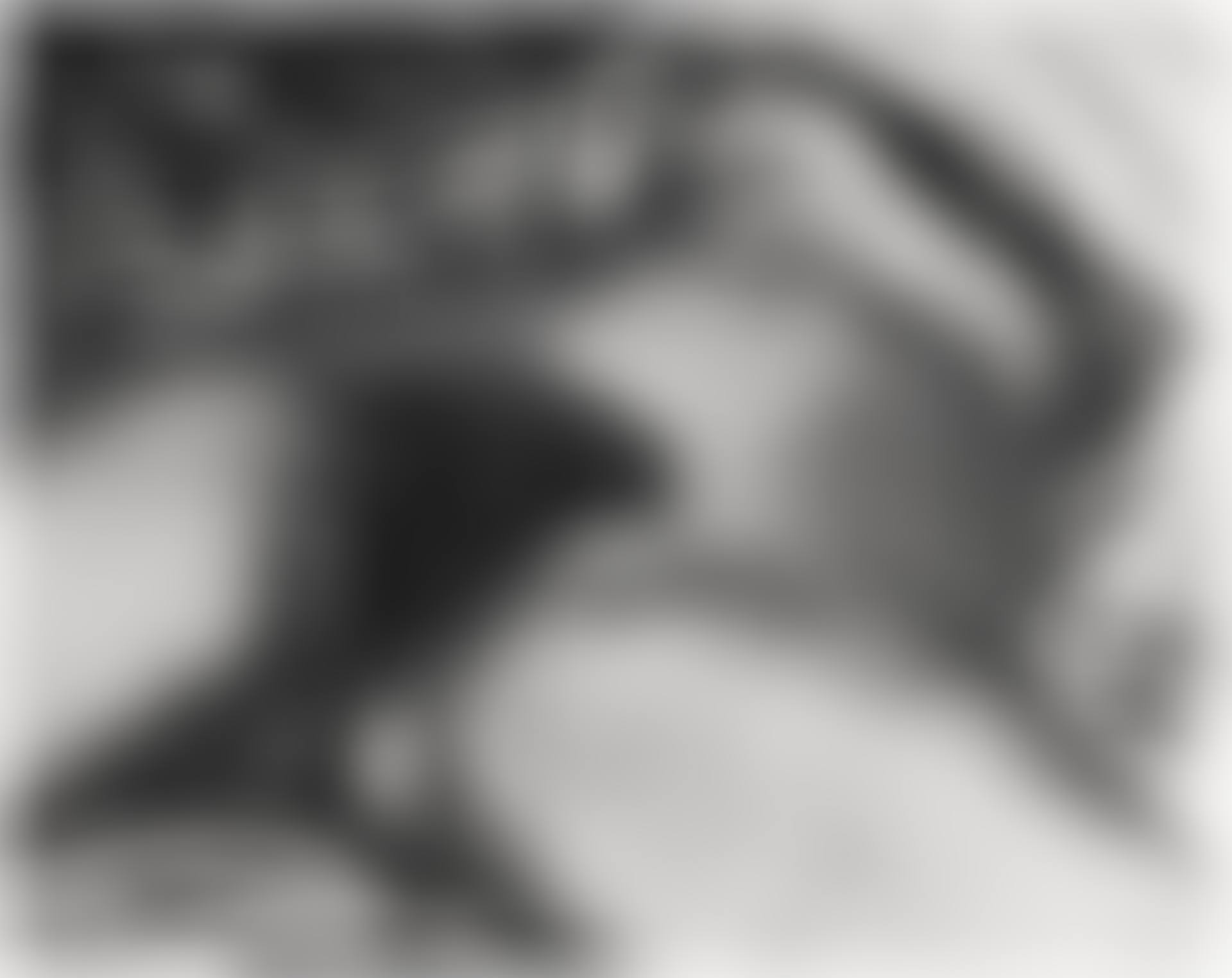The Origin of the World (After Courbet) (from Pictures of Soil) (preview)