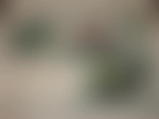 L'Oie (preview)