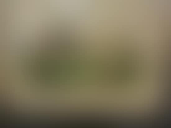 Country Landscape with a Barn (preview)