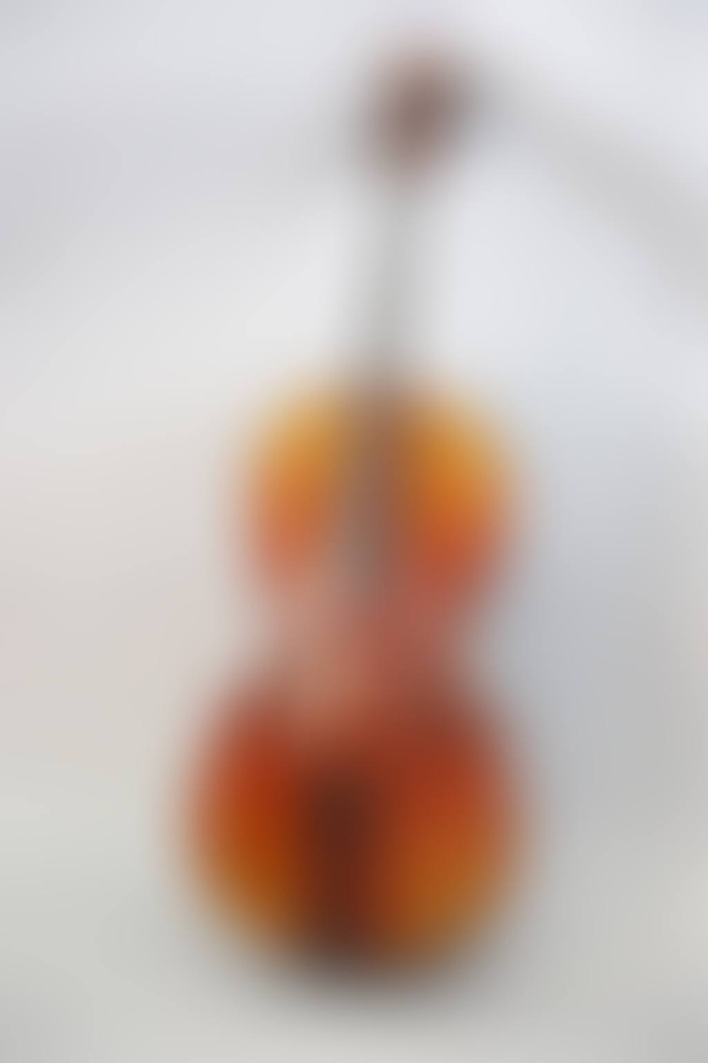 A late 19th/early 20th century German cello (preview)