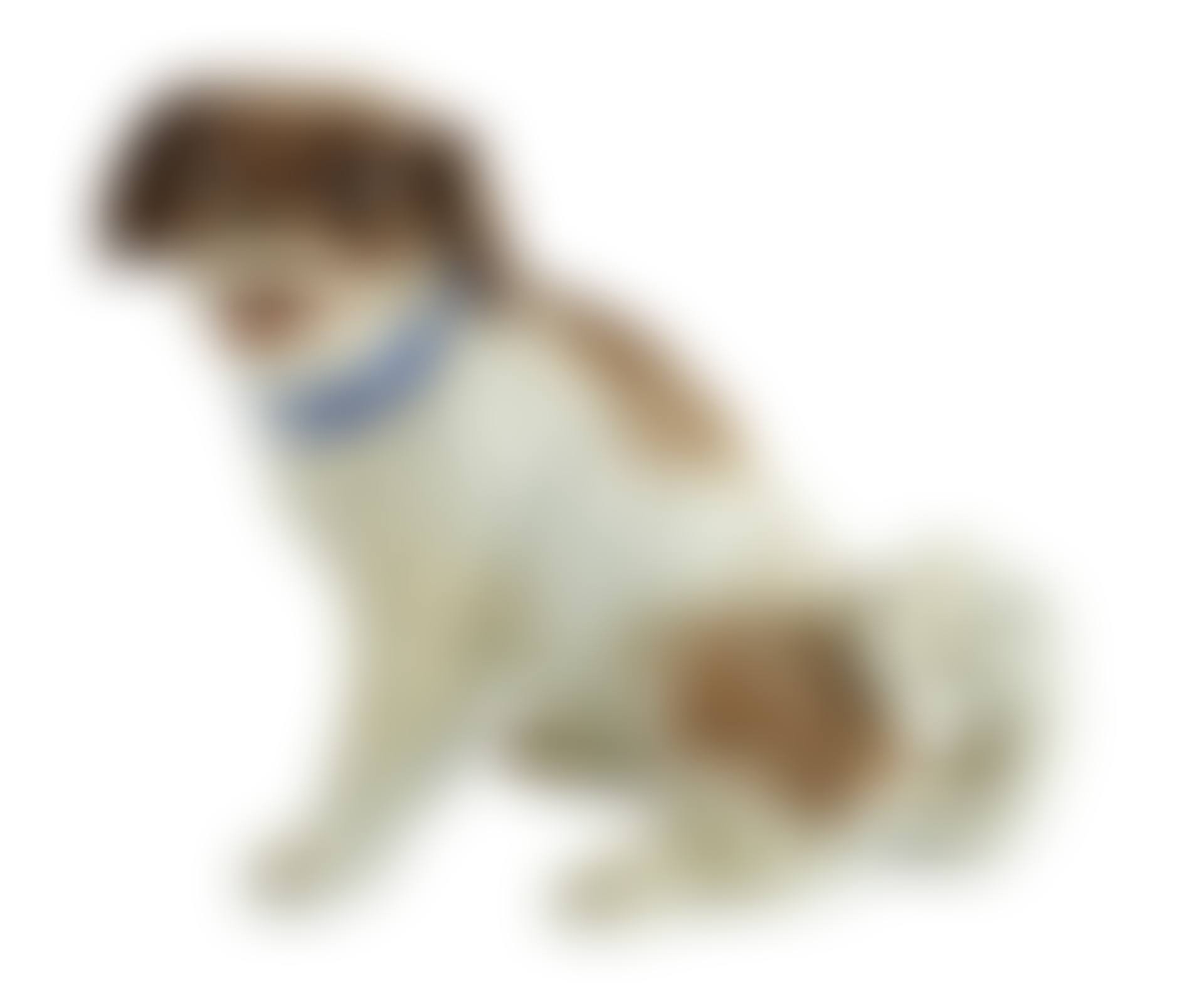 A Meissen seated figure of a German Wachtelhund (spaniel) (preview)