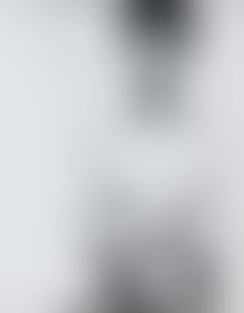 Renata Adler (preview)